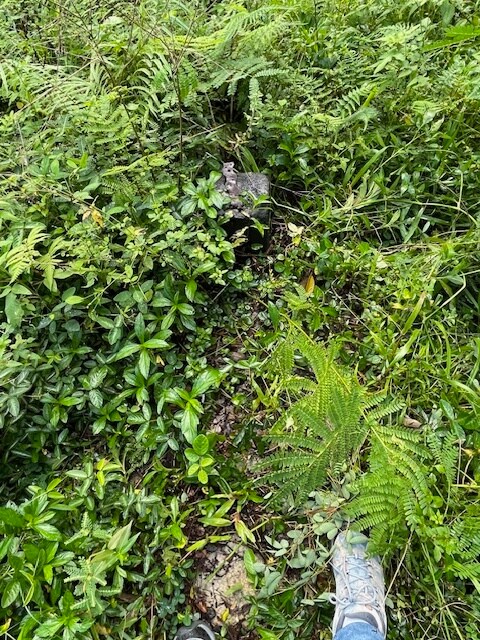 Building Photo - 15-2796-2796 Nenue St