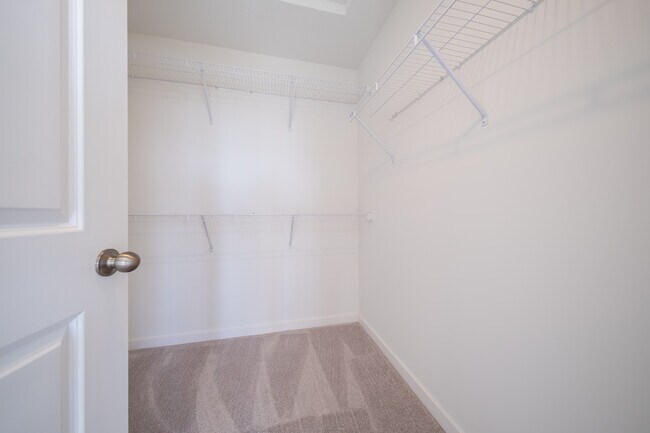 Building Photo - 10429 Ithaca Ln N