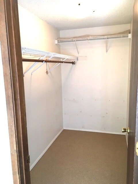 Closet in master BR - 8746 NE Glisan St