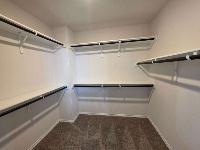 Building Photo - Ready Now – Freshly Painted & Move-In Ready!