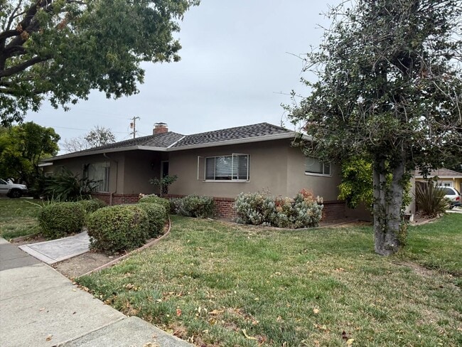 Primary Photo - 245 Alviso St
