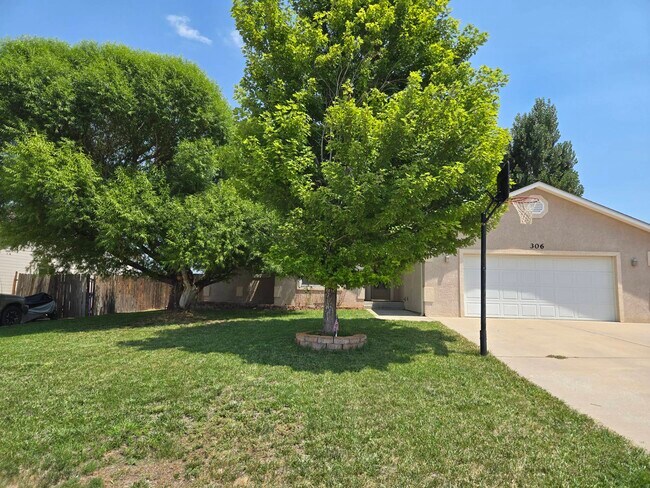 Primary Photo - 306 High Meadows Way