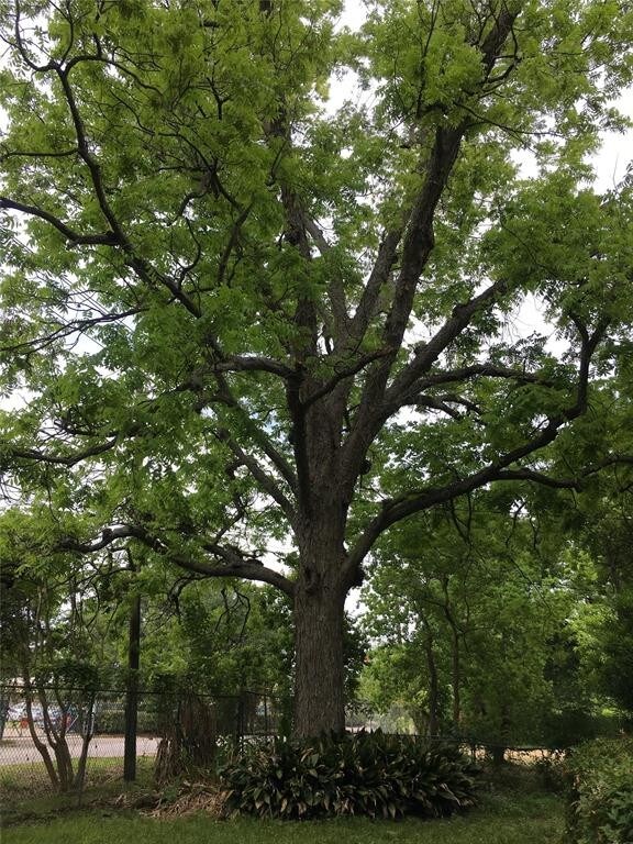 Building Photo - 809 E Burress St