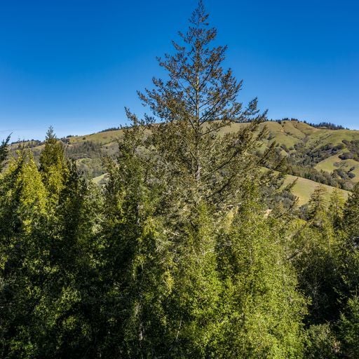 Building Photo - 25 Fir Ave