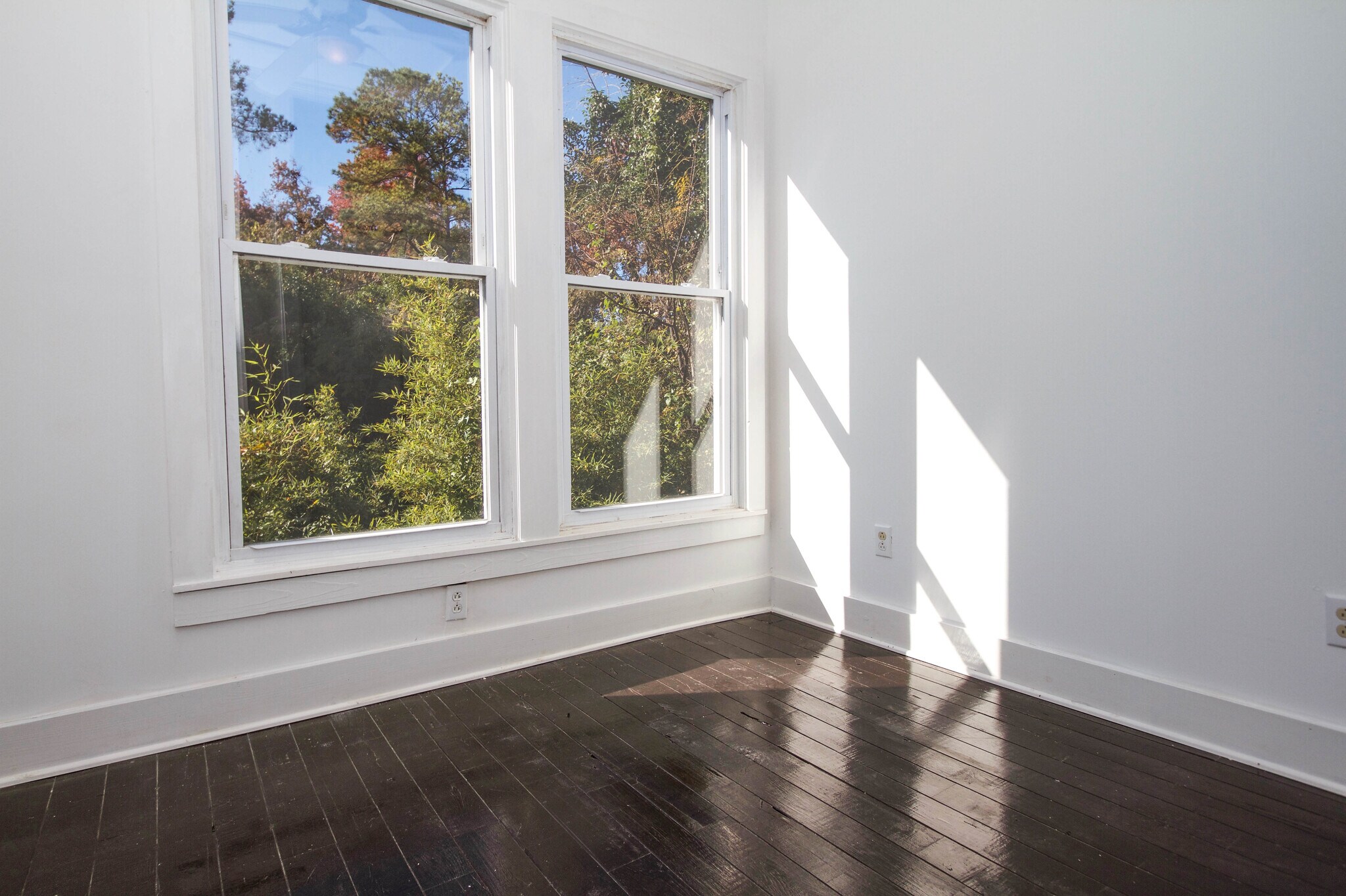 Building Photo - 546 Shull St