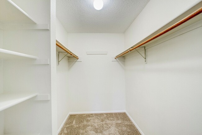 Building Photo - 6139 Little Pine Cir