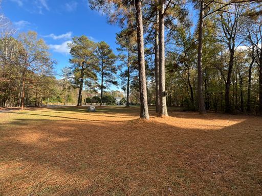 Building Photo - Charming 3BD, 2BA Wake Forest Home on a Large, Private Lot with a Detached 2-Car Garage, Providin...