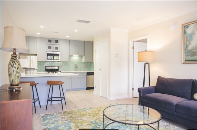 Small 1bd Kitchen-Living Room View - Renaissance Apartments at Capital Circle