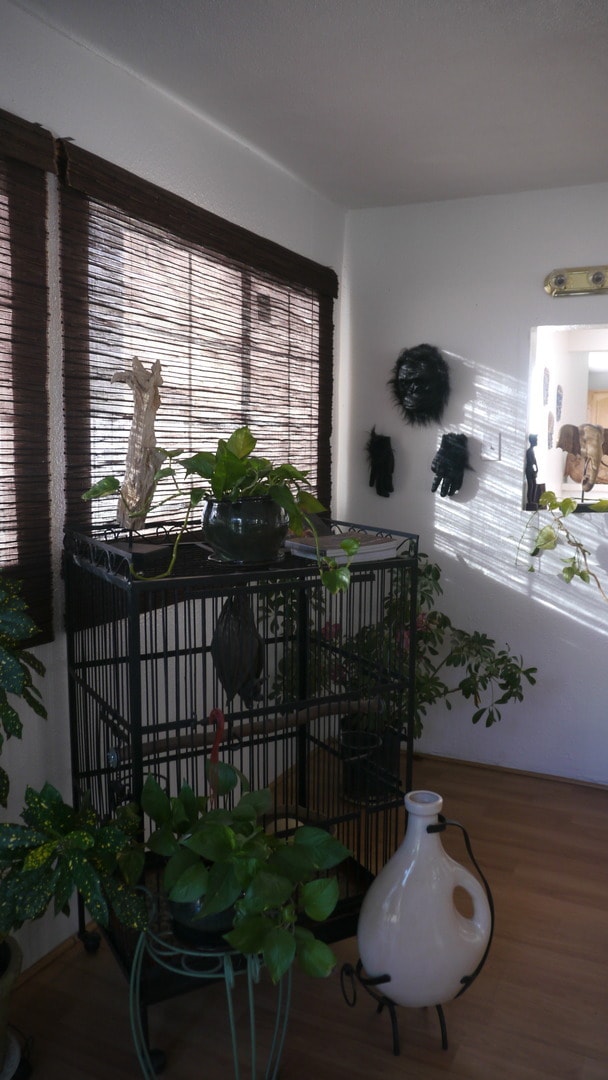 Building Photo - Home for Rent