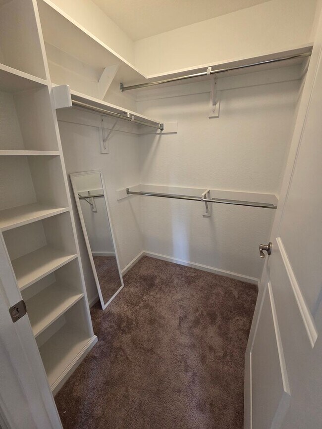 Building Photo - WOODLANDS AT WESTERN BRANCH