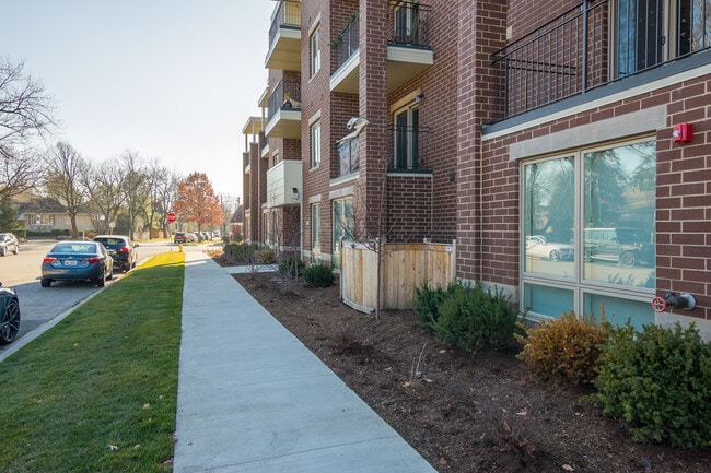 Building Photo - 1212 Vine Ave