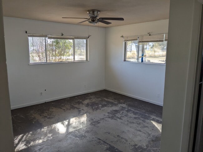 Building Photo - 1439 N Alamo Rd