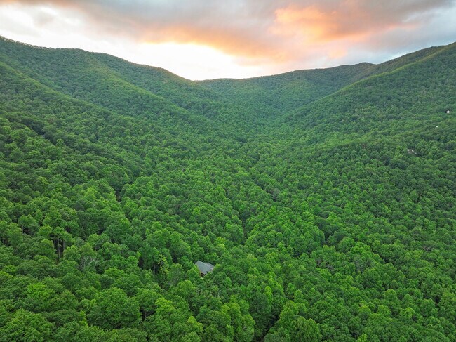 Building Photo - 39 Great Aspen Way