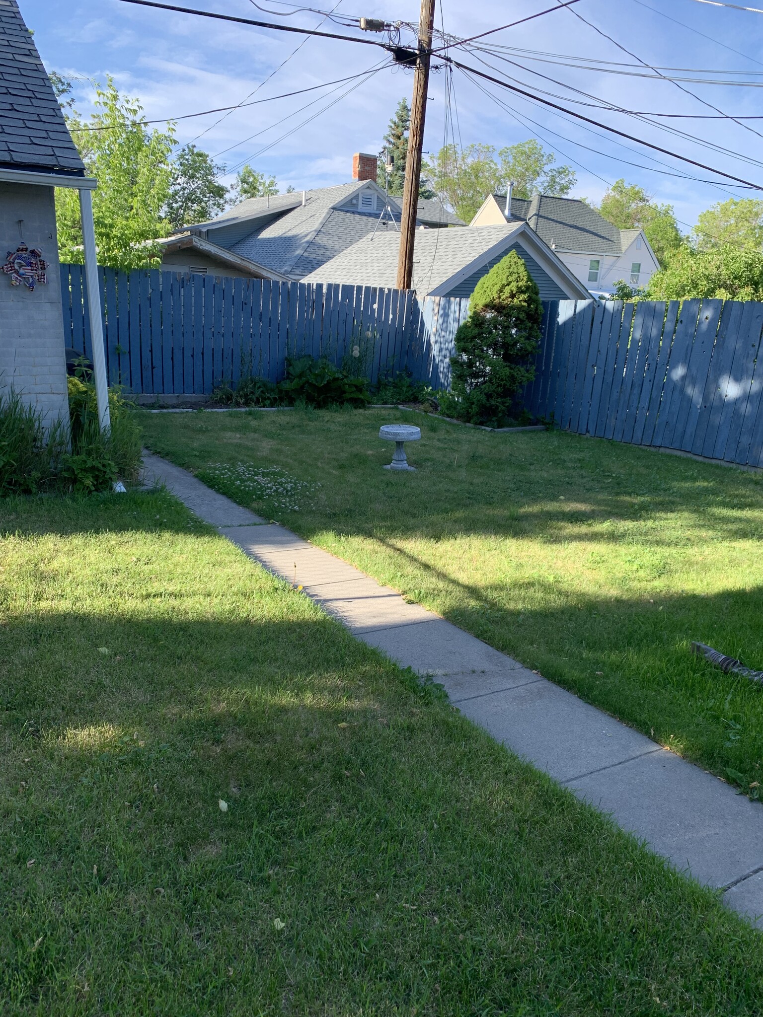 Shared backyard (front lawn also shared) - 816 5th Ave