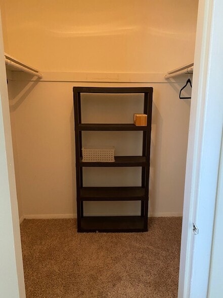 Walk-in-closet - 1010 Sandlin Pl