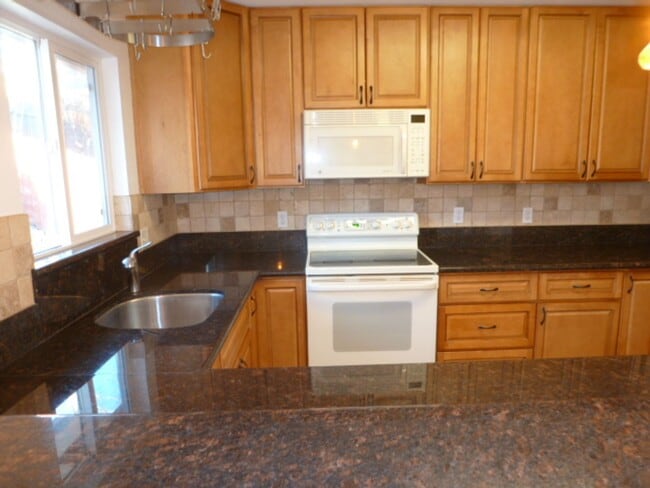 Building Photo - Four Bedroom, Two Bath, Two Car Garage Remodeled Home in West Reno