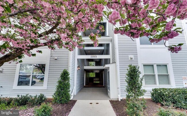 Building Photo - 10003 Vanderbilt Cir
