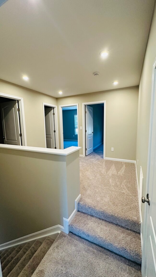 Building Photo - 2075 Wild Berry Wy