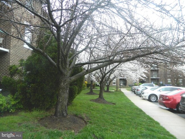 Building Photo - 7925 Coriander Dr