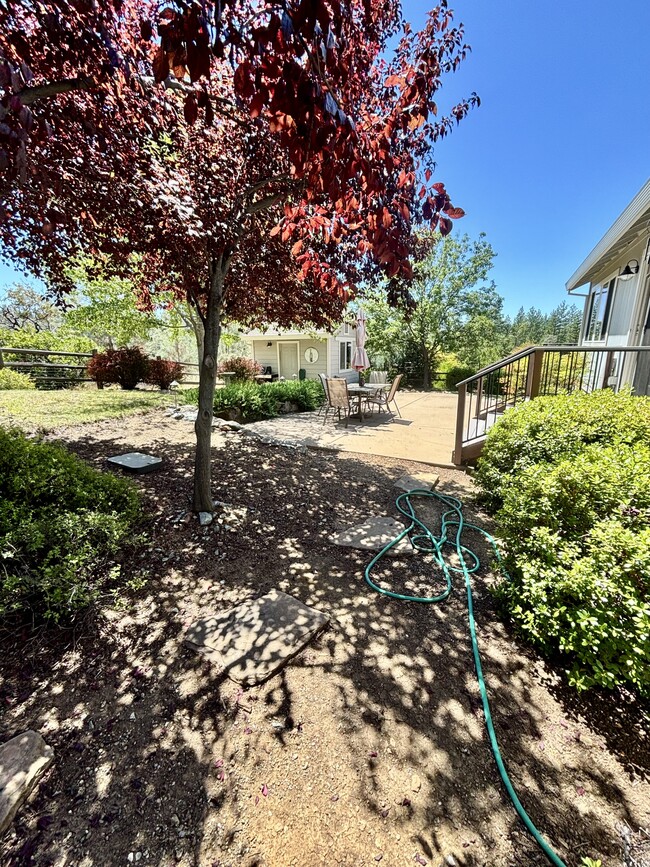 Building Photo - 901 Morgan Ranch Dr