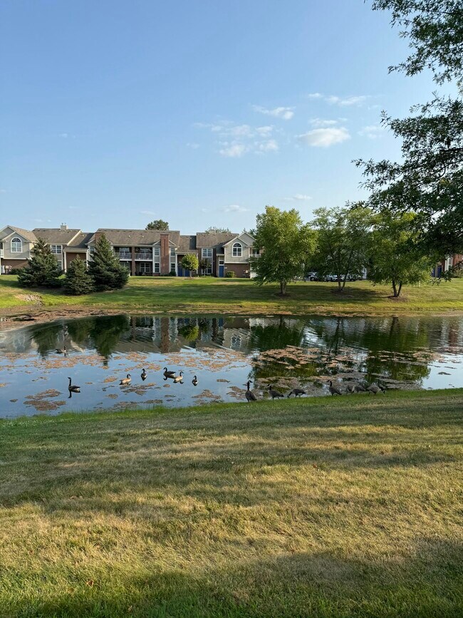 Building Photo - 2260 Leighton Dr