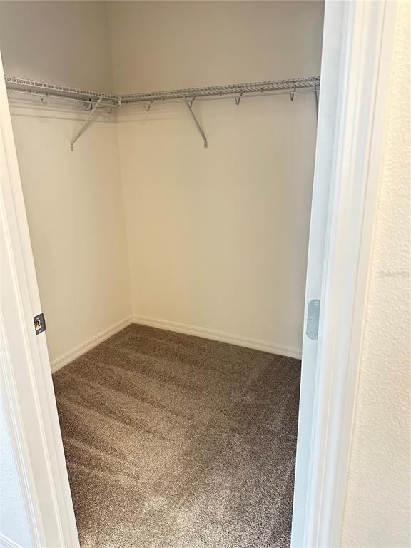 Building Photo - 5850 Ali Grace Dr