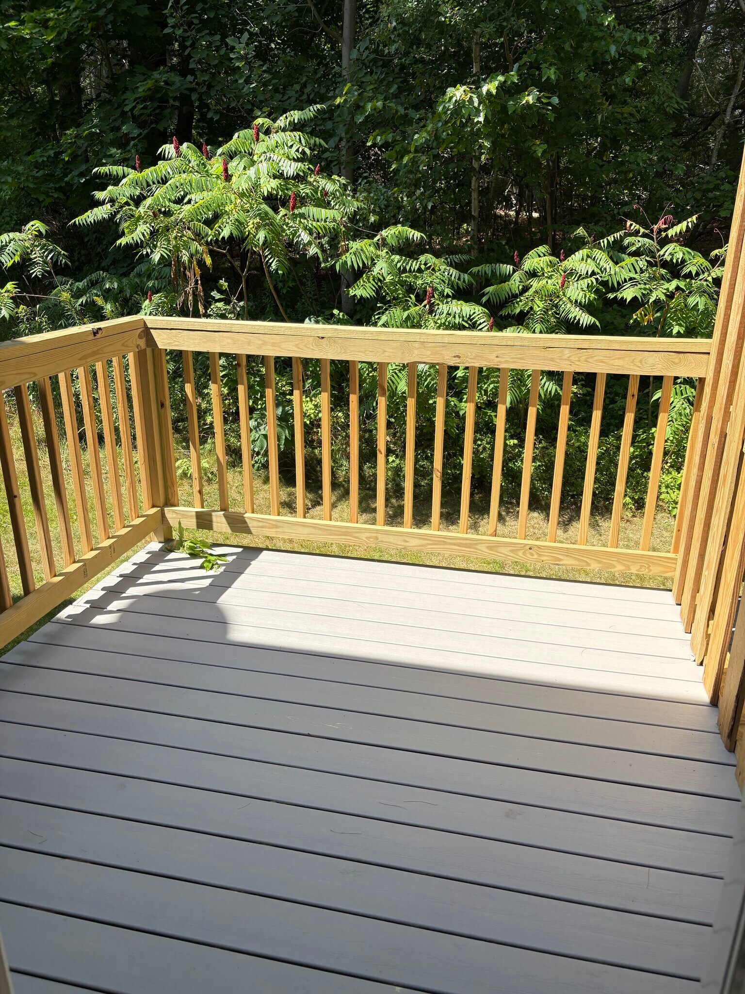 Deck - 1434 Ohio St