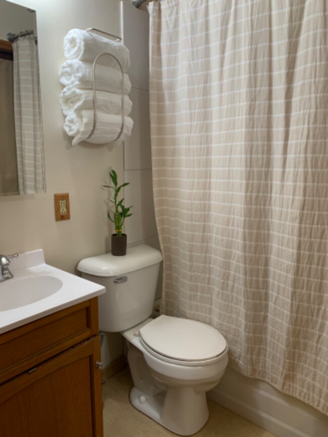 Building Photo - Uptown Duplex for Rent – Heart of The Wedge, Minneapolis