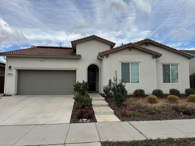 Primary Photo - Beautiful Springlake Home with Solar and S...