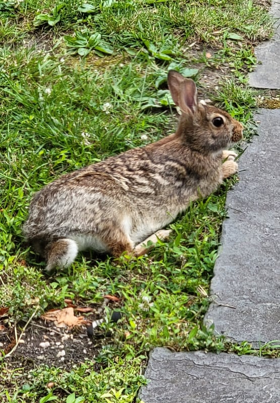 Building Photo - 126 Plainview Rd