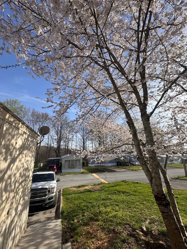 Building Photo - 7804 Stanley Rd