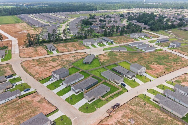 Building Photo - 702 Umbrella Tree Dr