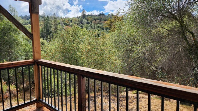 Building Photo - Lake Wildwood Home with Granny unit