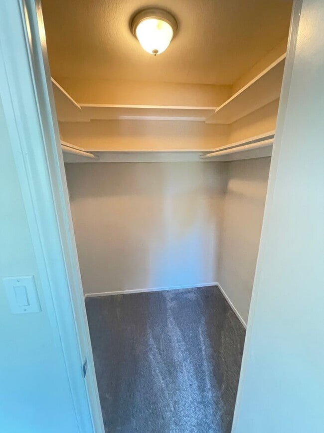 Building Photo - Live Large in this Outstanding 4 bed / 3 bath