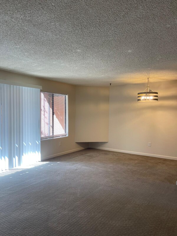 Building Photo - 385 Murphy Ave