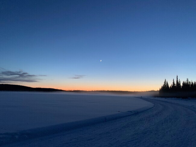 Miles of groomed ski trails at UAF - 2279 Franklin St