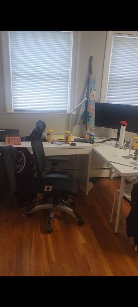 Building Photo - Amazing 1 Bed in Harvard Square available 6/1