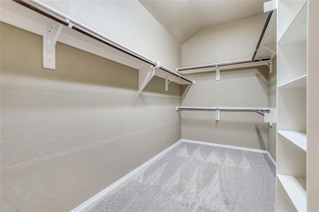 Building Photo - 1625 Mallard Dr