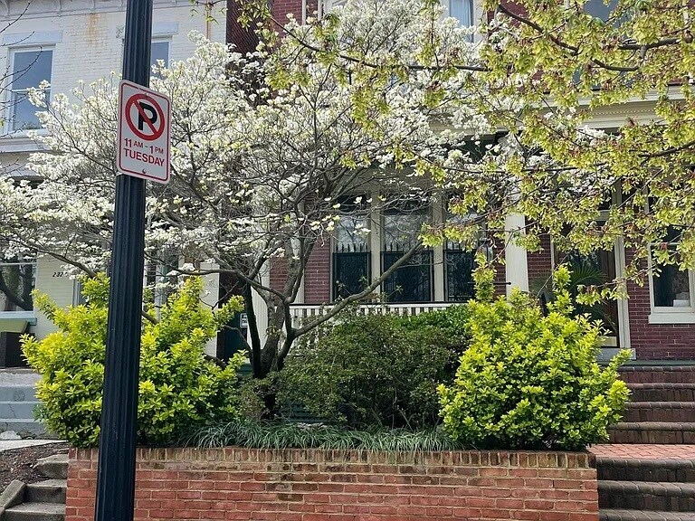 Spring in the Fan! - 2329 W Grace St