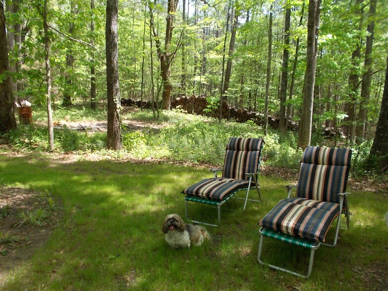 Relaxing Chairs in back Woods - 2177 Kings Mountain Dr NE