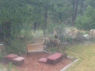 Building Photo - 6810 Canyon Ferry Rd