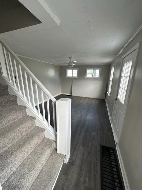 Building Photo - 4816 Conway St