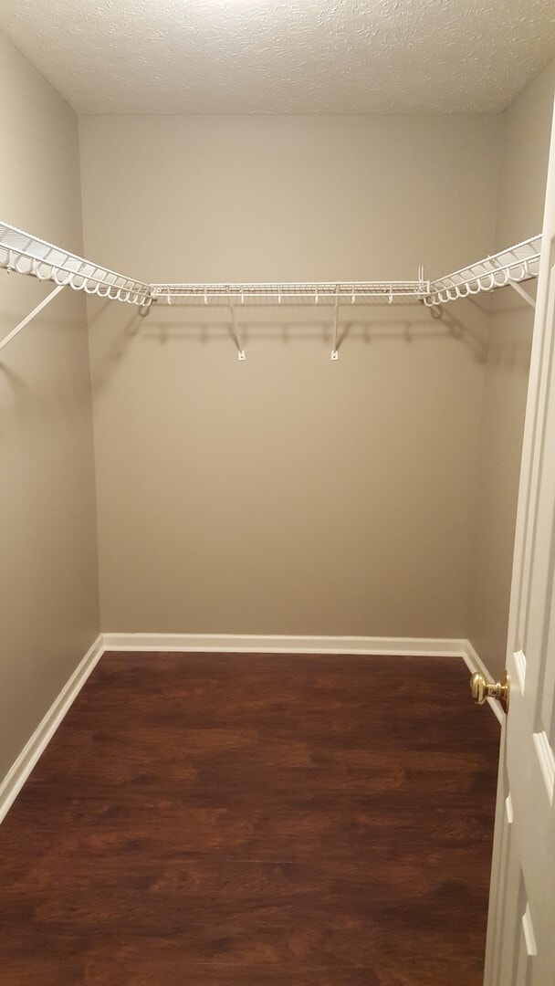 Building Photo - 3 bed, 2 bath Home with GARAGE!