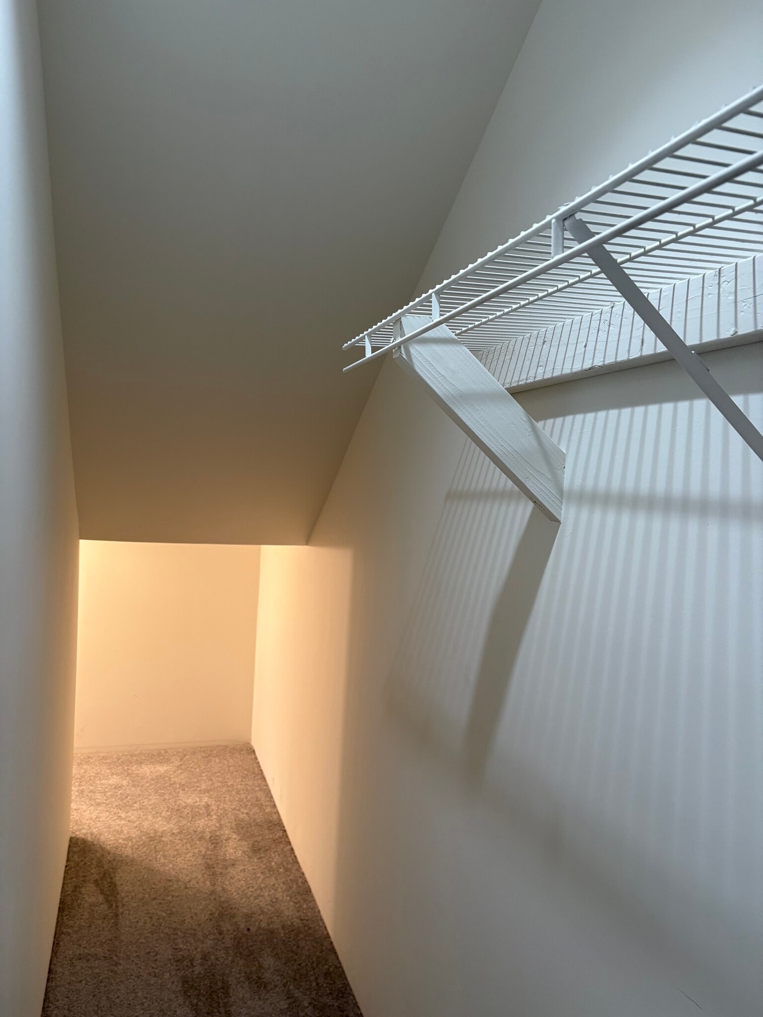 Downstairs Walk-in Closet - 2037 N Brighton St