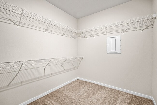 Building Photo - 10414 Red Cardinal Dr