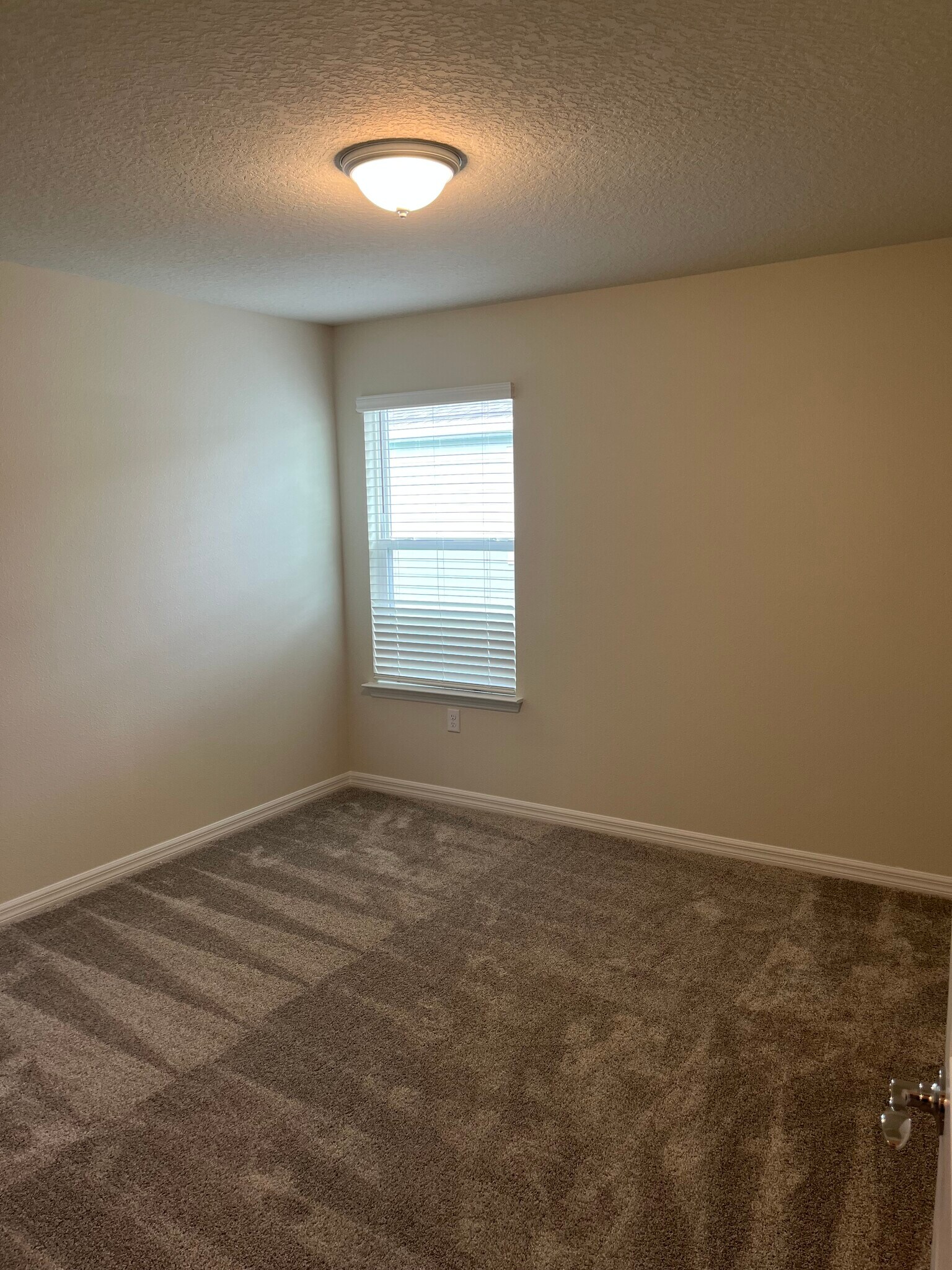 Building Photo - 3175 Emerald Acres Ln
