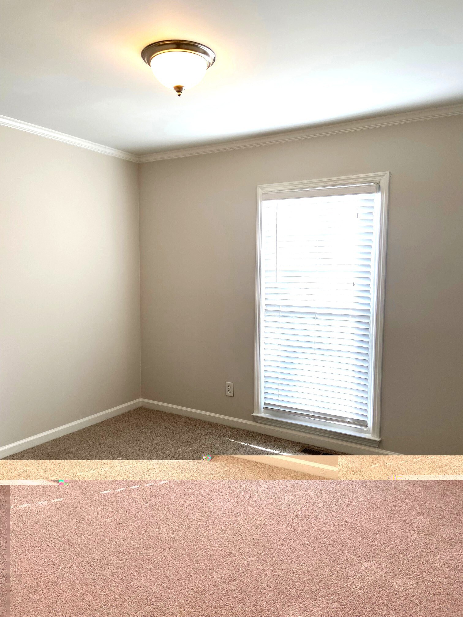 Building Photo - 336 Oak Leaf Cir