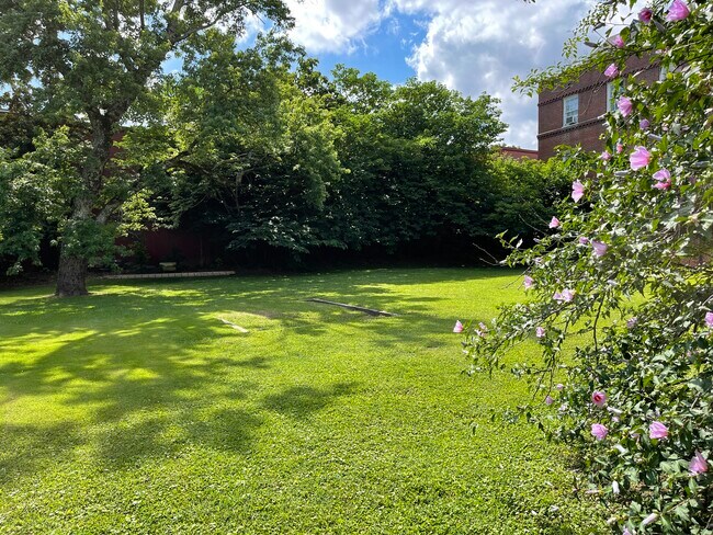 Back courtyard - 2824 Thornhill Rd