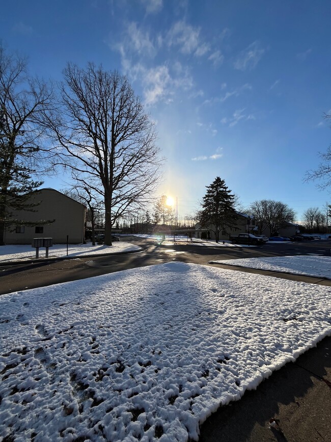 View from Front Door - 1534 Streamwood Ct