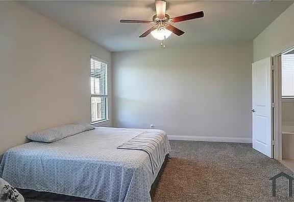 Building Photo - 11205 Blaze St